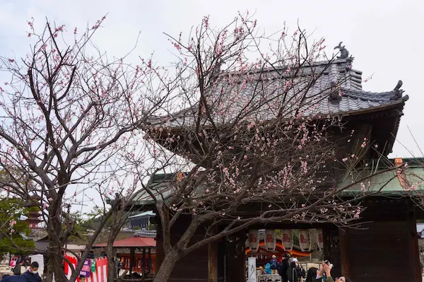 Daiganji Temple (3)